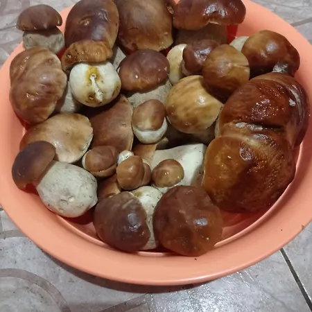 Magnat 3* Verkhne-Studenyy