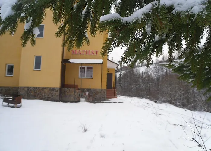 Guest house Magnat 3*