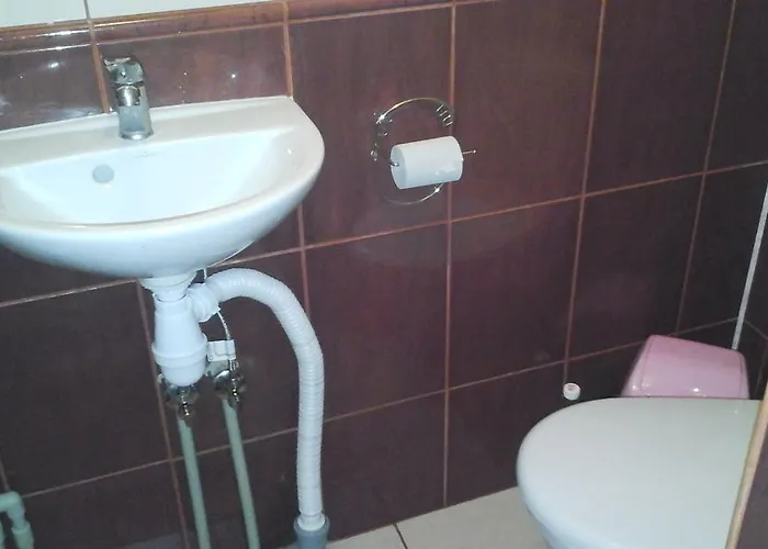 Guest house Magnat 3*