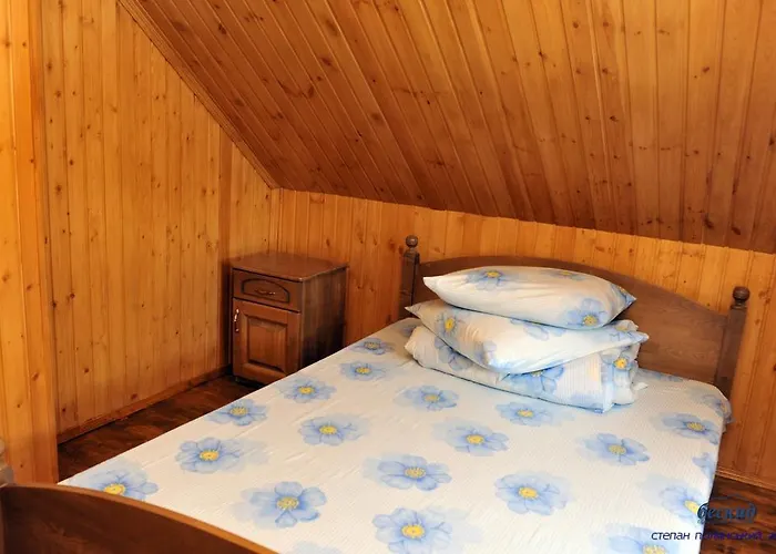 Guest house Magnat 3*